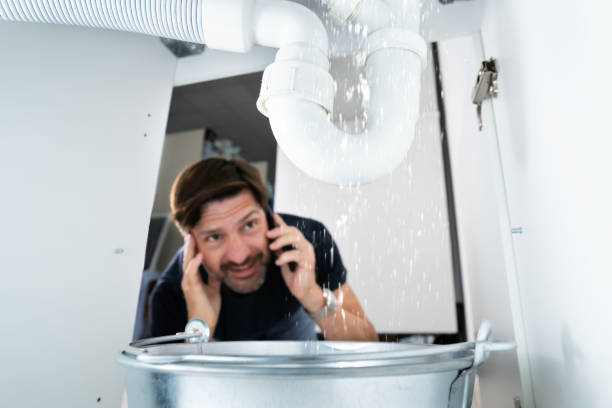Best Local Plumber Services  in Knox, IN